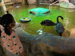 -zoonana室内动物园(东方福来德店)