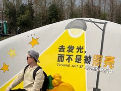 -荷兰花海