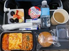 -新加坡航空公司(ION)