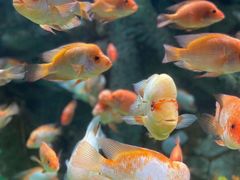 -泉城欧乐堡海洋极地世界