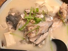 鱼头豆腐汤-松岛日本料理(汾江路店)