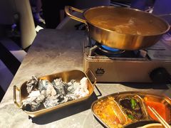 -Darling Queen·Mini·Live·House