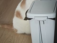 -芭比堂宠物医院·全科爱猫医院·仁德分院