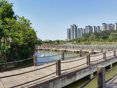 -广西壮族自治区药用植物园