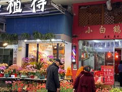 -溪岸路花鸟市场