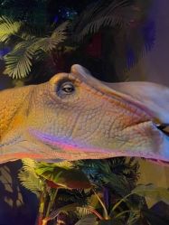 -恐龙探索乐园(磁器口店)