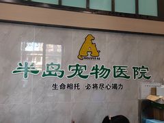 -半岛宠物医院24小时(科华中路店)