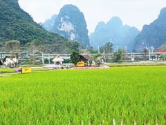 -明仕田园