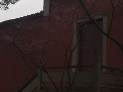 -乌山风景区