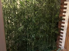 -龙禧盛精品酒店(天津西站店)