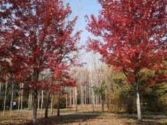 -长春公园(普阳街道)