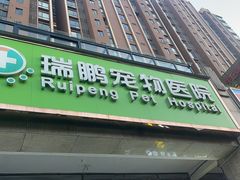 -瑞鹏宠物医院·宠保定点·心脏科·内科(御桥分院)