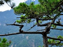 -祁门牯牛降观音堂风景区