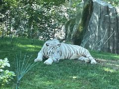 -北京野生动物园