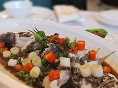 -南麓·浙里(外滩店)