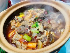 -粉灯牛腩牛杂煲·鸡煲(双井店)