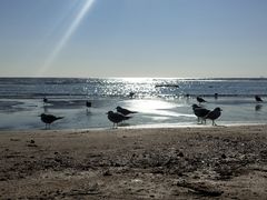 -老虎石海上公园