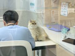-谐和贝康宠物医院24小时·宠保定点(急重症转诊中心)