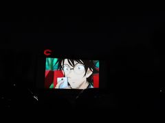 -枫花园汽车电影院(朝阳公园店)
