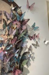 -鲸彩·美甲美睫科技护肤