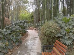 休息区-金沙遗址博物馆