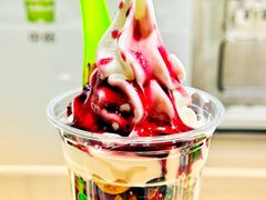 -Salud撒露欧洲冻酸奶(北苑上品店)