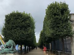 -杜乐丽花园