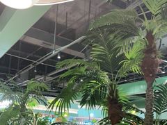 -春润大地海南椰子鸡(沙井京基百纳广场店)