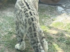 -青藏高原野生动物园