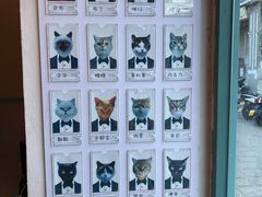 -喵屿·大理花园猫咖