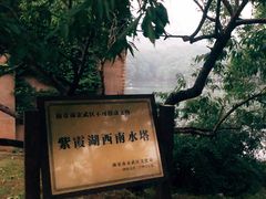 -紫霞湖公园