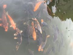 -绍兴鉴湖君澜大酒店