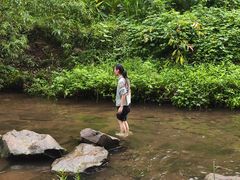 -重庆彩云湖湿地公园