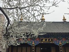 -护国法轮寺