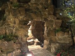 -上海虹桥宾馆味翠餐厅