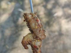 -百年食客韩式烤肉(南三环店)