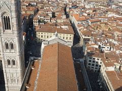 -圣母百花大教堂穹顶