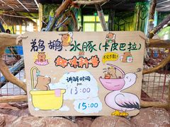 -海合安武汉极地海洋公园