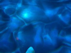 -贝林大翅鲸简餐厅(国家海洋博物馆店)