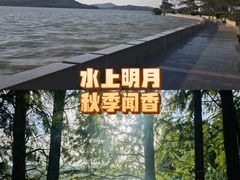 -水上明月·湖景餐厅