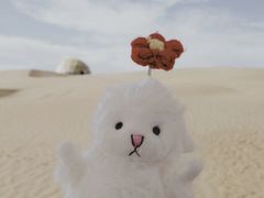 -达拉特旗响沙湾旅游区