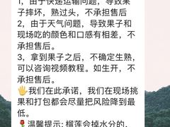 -曼阁市场水果批发市场