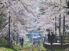 -姑奶奶老厨房(南坪路总店)