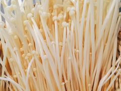 -李掌柜鲜菜火锅(移民广场店)