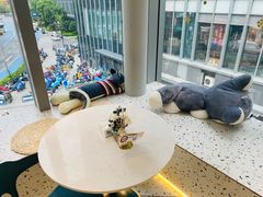 -Husky Go!哈士奇体验馆·宠物咖啡厅狗咖