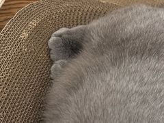 -Me Coffee下午茶艺术空间