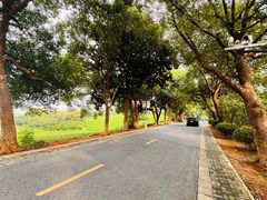 -敬亭山风景名胜区