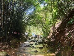 -南海湾森林生态园