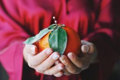 -蘭CLUB一站式酒店