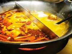 台式麻辣花胶鸡鸳鸯锅-湊湊火锅·茶憩(世博大道店)